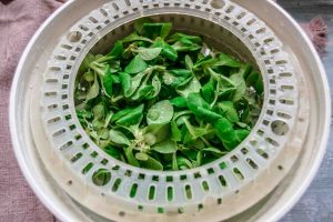 Feldsalat waschen