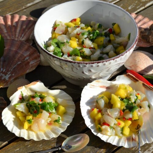 jakobsmuschel-ceviche-mit-mango-kochen-aus-liebe
