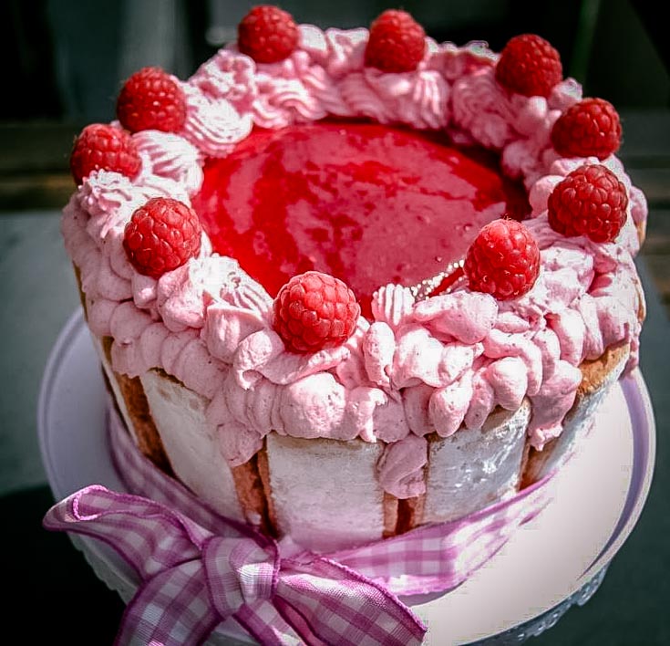 Himbeer-Charlotte mit Joghurt