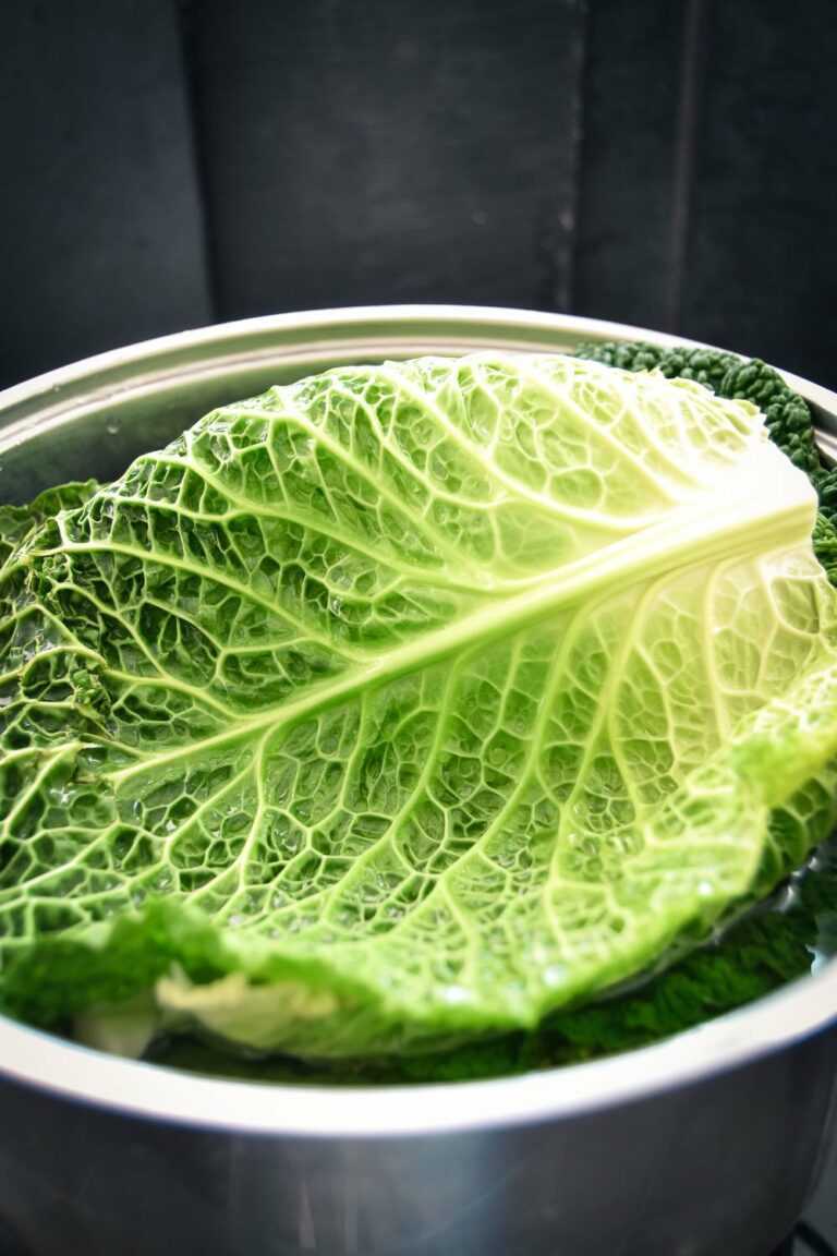 Kohlrouladen Rezept | Omas Wirsingrouladen - Kochen aus Liebe