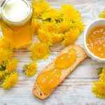 Löwenzahn Gelee Rezept Löwenzahn essen