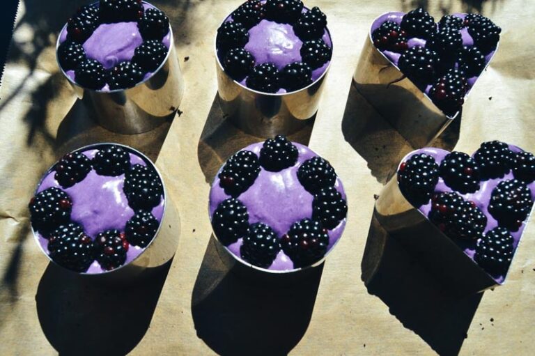 Brombeer-Frischkäsetorte ohne backen - Kochen aus Liebe