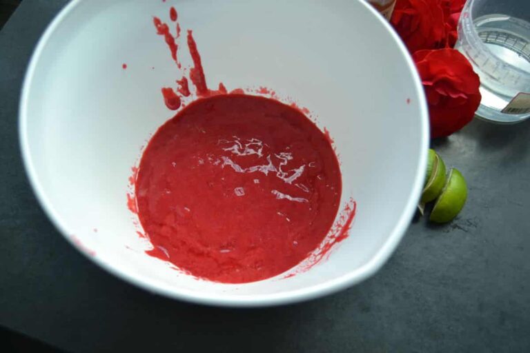Himbeer Rosen Sorbet - Kochen aus Liebe
