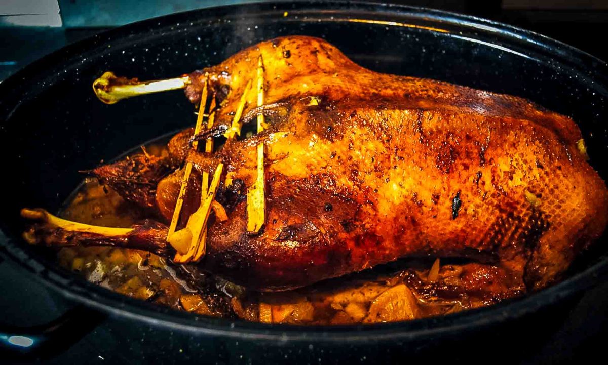 gebratene gefüllte Gans 