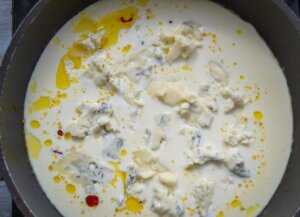 Käse Sahne Sauce mit Blauschimmel