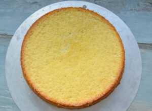 Biskuitboden für Windbeuteltorte