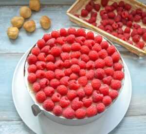 Himbeertorte mit Windbeutel und Schmand-Sahne