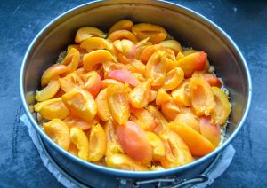 Aprikosen Quarkkuchen
