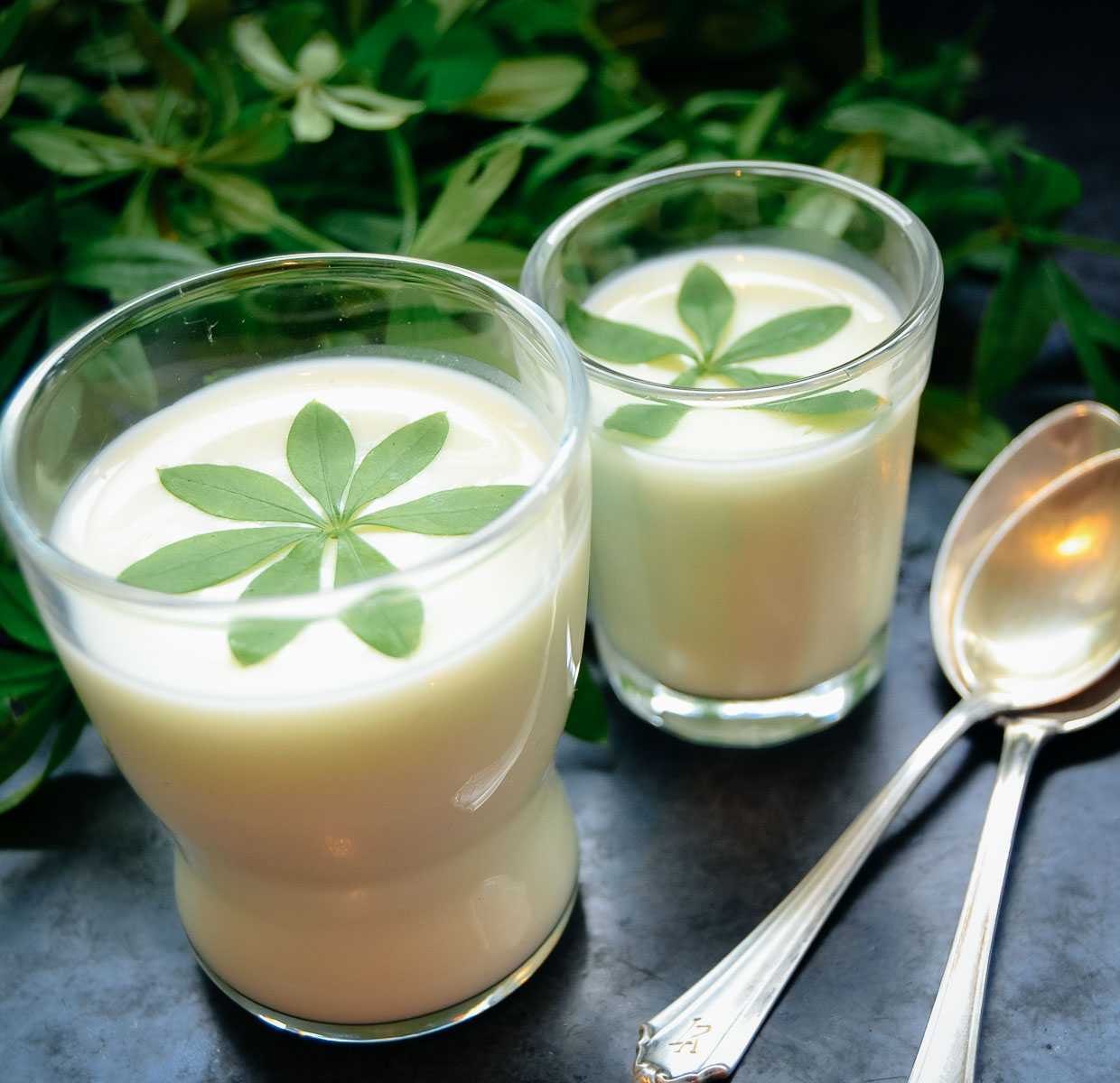 Panna Cotta mit Waldmeister - Kochen aus Liebe