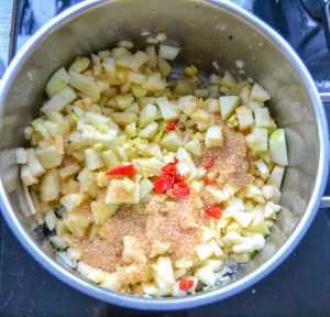 Apfelchutney kochen