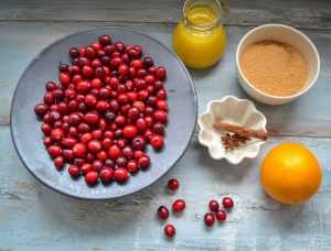 Cranberry Sauce Rezept mit Orange