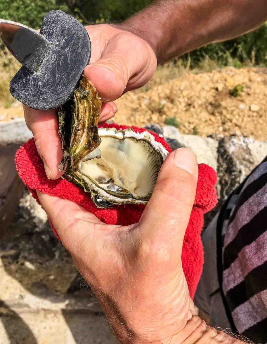 Austern mit einem Austernmesser öffnen 
