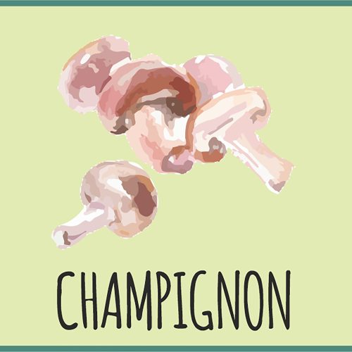 Saisonkalender Gemüse Champignon