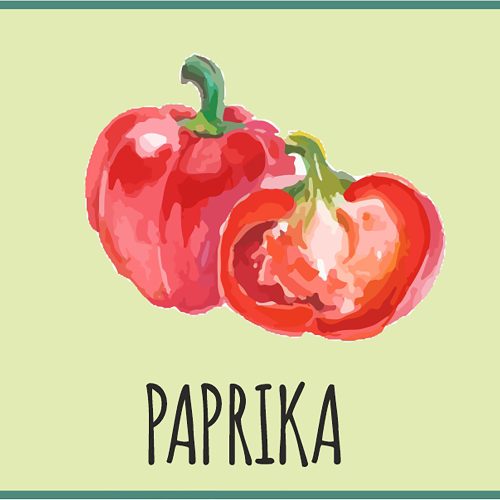 Saisonkalender Gemüse Paprika