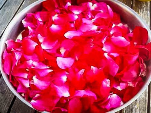 Rosenblüten Blätter