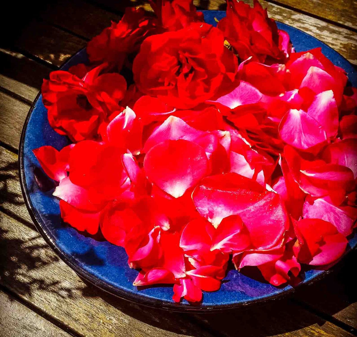 Rezept Zutat rote Rosenblütenblätter 