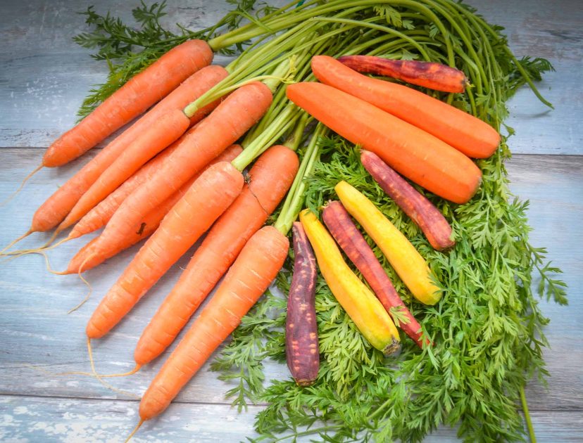 Saisonkalender Gemüse Karotte Möhre - Kochen aus Liebe
