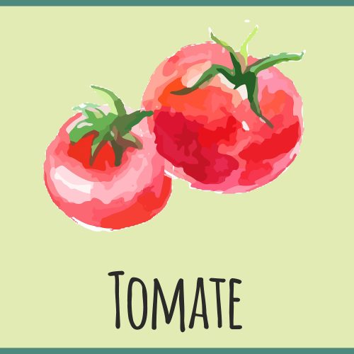 Saisonkalender Gemüse Tomate