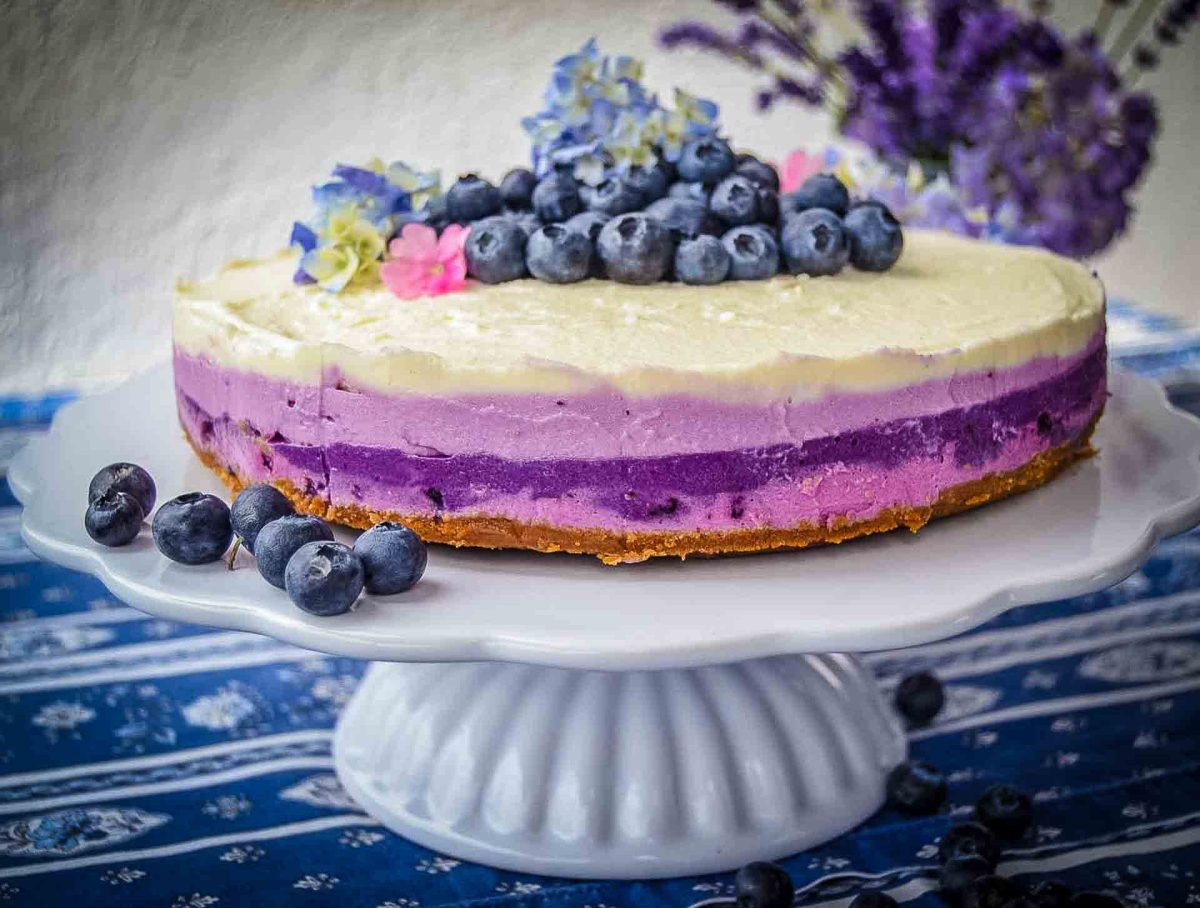 Frischkäsetorte - einfacher no bake Cheesecake mit Blaubeeren