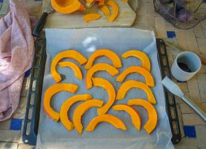 Hokkaido Kürbisspalten