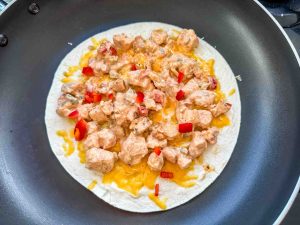 Quesadilla mit Hähnchen und Käse