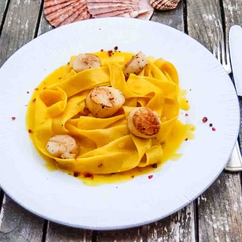 gebratene Jakobsmuscheln in Safransauce