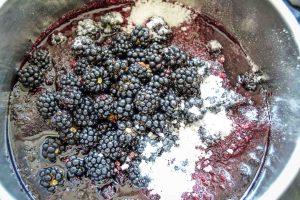 Aroniasaft mit Zucker Brombeeren kochen