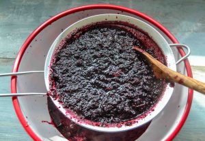 gekochte Aronien durch ein Sieb streichen und den Saft auffangen