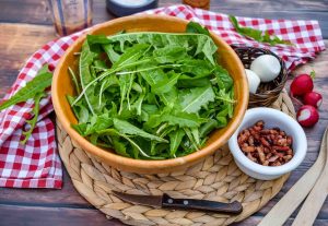 Salatzutaten gewachener Löwenzahn, gebratener Speck und gekochte Eier