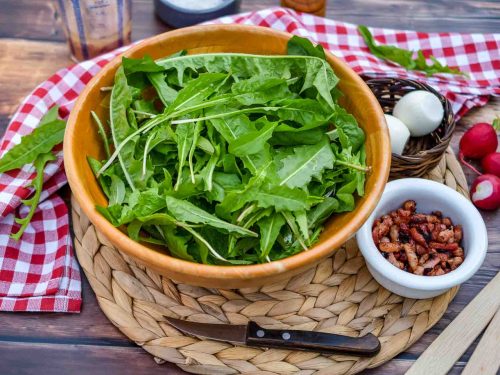 Salatzutaten gewachener Löwenzahn, gebratener Speck und gekochte Eier