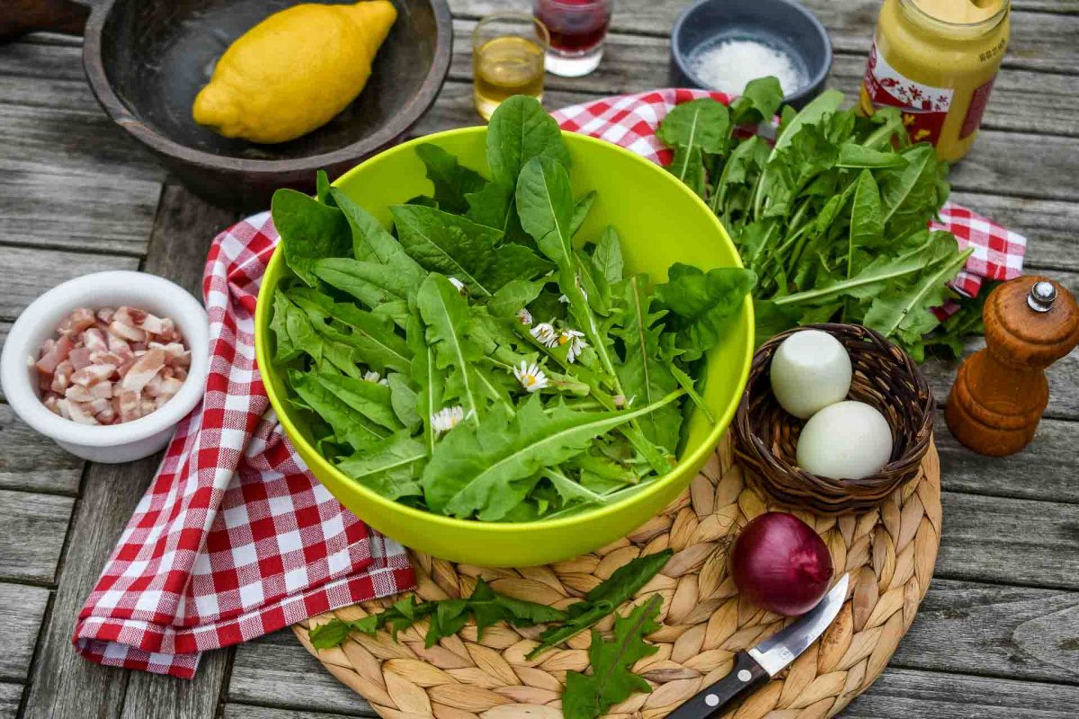 Salat Zutaten: Löwenzahnblätter, Speck, Eier, Essig, Öl, Honig, Senf und Salz